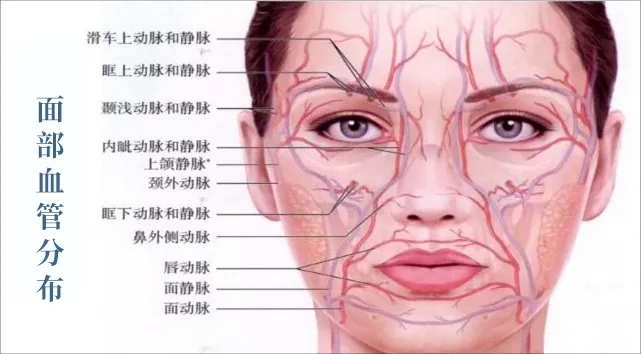 超全面的「玻尿酸」高阶注射使用指南来了！